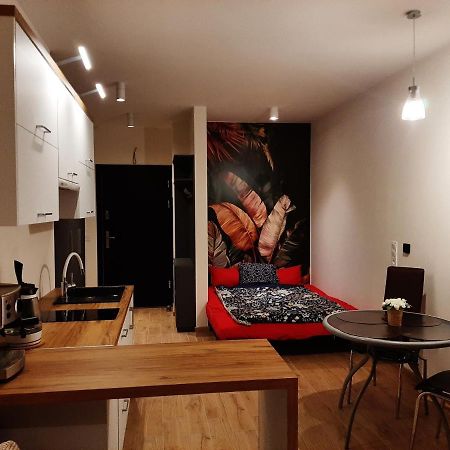 Apartament Pod Szyndzielnia, Debowiec 비엘스코-비아와 외부 사진