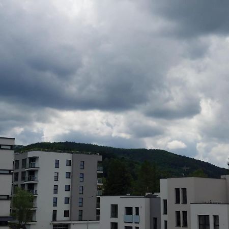 Apartament Pod Szyndzielnia, Debowiec 비엘스코-비아와 외부 사진