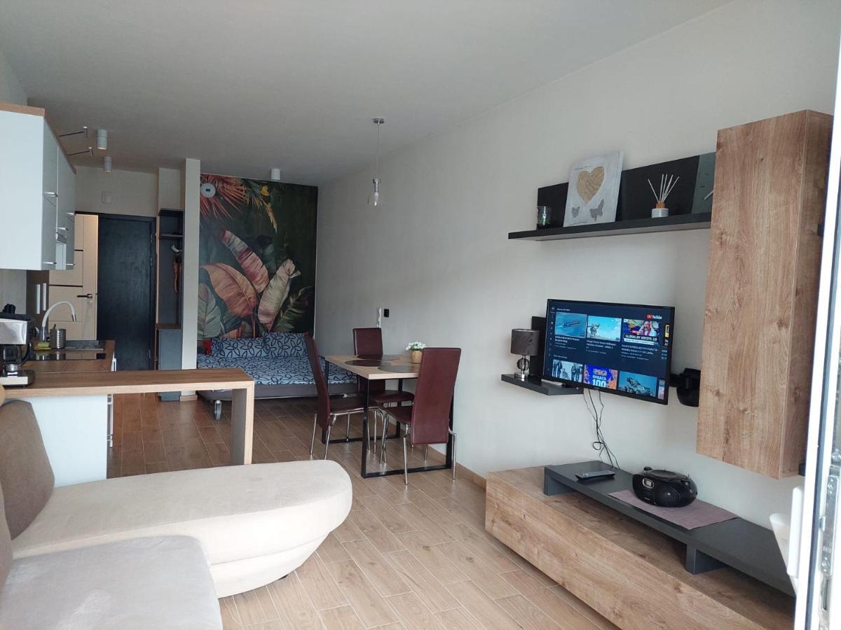 Apartament Pod Szyndzielnia, Debowiec 비엘스코-비아와 외부 사진